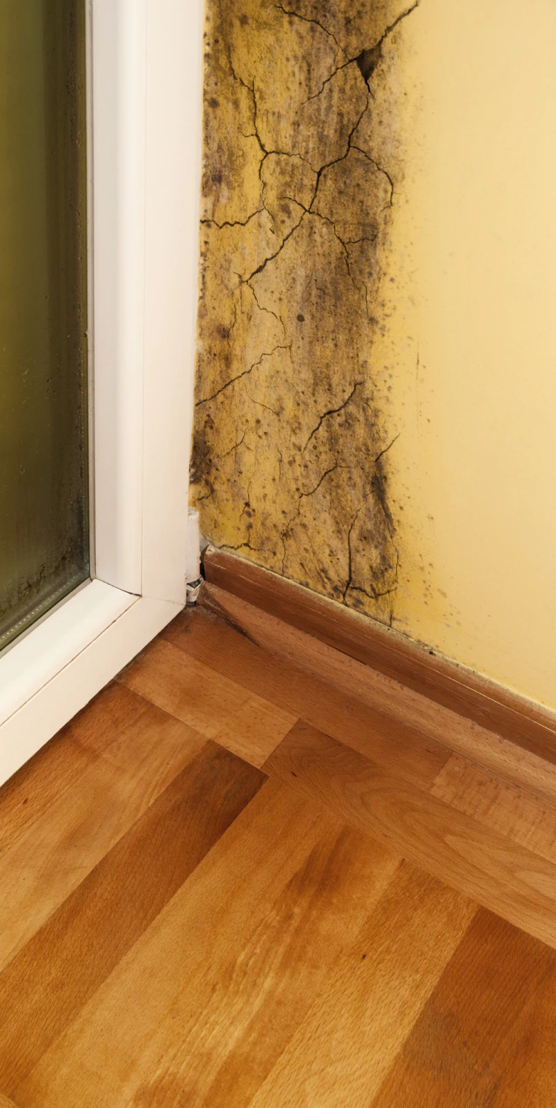 a mold infested corner by the door